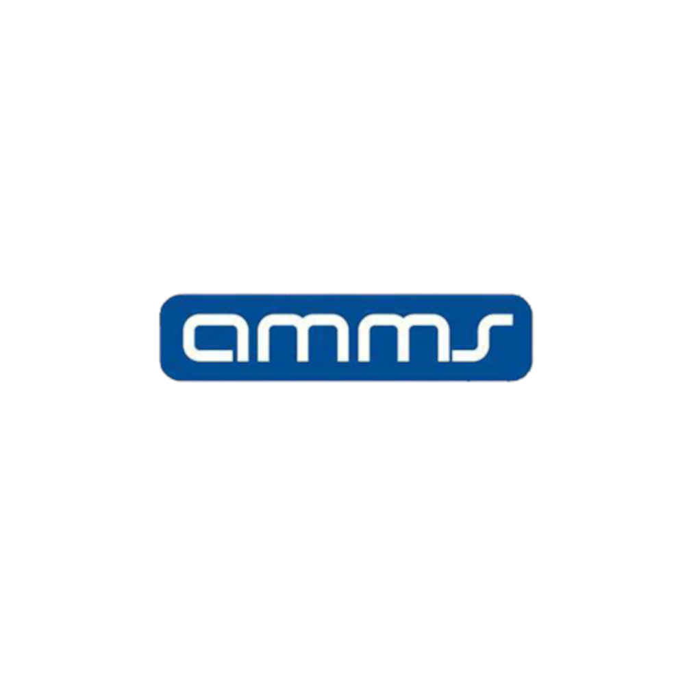 AMMS 2FA